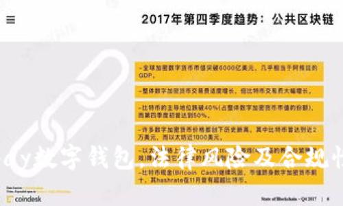 使用Topay数字钱包，法律风险及合规性全解析