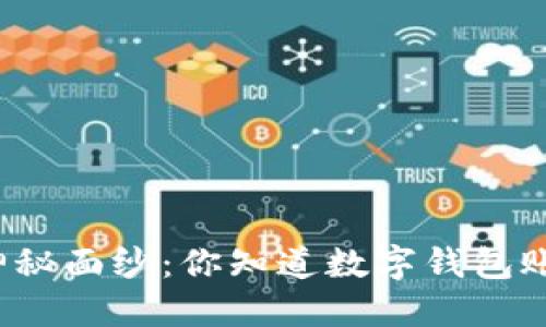 揭开数字钱包的神秘面纱:你知道数字钱包账户的不同类型吗?