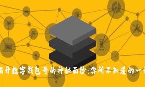 揭开数字钱包号的神秘面纱:你所不知道的一切