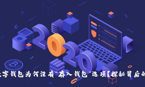 你知道吗?建行数字钱包为何没有“存入钱包”选项?探秘背后的原因与解决方案