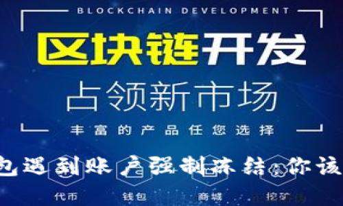 当数字钱包遇到账户强制冻结:你该如何应对?