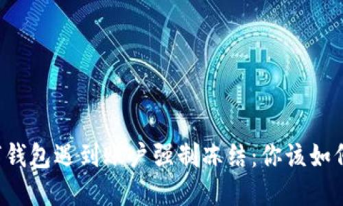当数字钱包遇到账户强制冻结:你该如何应对?