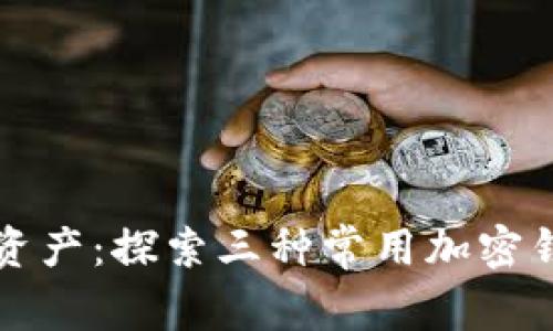解密你的数字资产:探索三种常用加密钱包软件的秘密