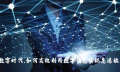 在数字时代，如何高效利用数字钱包实现急速放