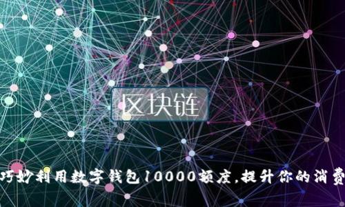 如何巧妙利用数字钱包10000额度,提升你的消费体验