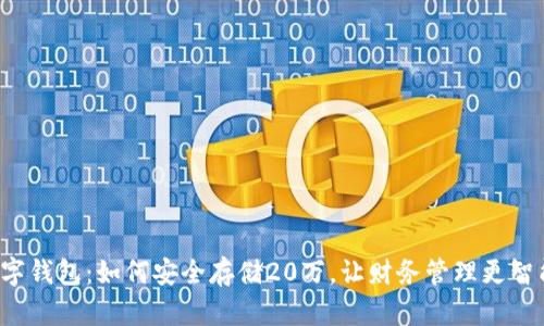 数字钱包:如何安全存储20万,让财务管理更智能!