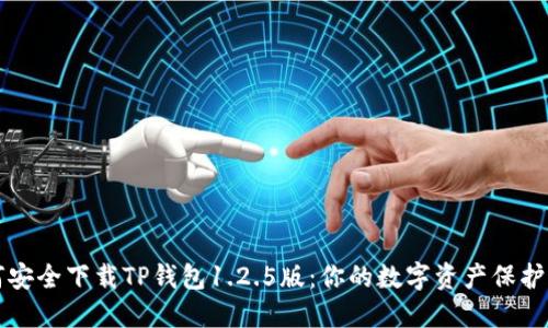 如何安全下载TP钱包1.2.5版:你的数字资产保护指南