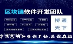 数字钱包明细查询不畅，是谁在捣鬼？