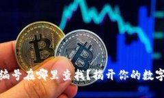 数字钱包编号在哪里查找？揭开你的数字财富奥