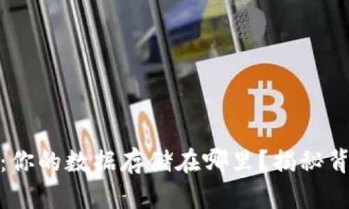 数字钱包的秘密:你的数据存储在哪里?揭秘背后的科技与保障