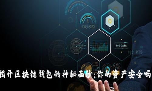揭开区块链钱包的神秘面纱:你的资产安全吗?