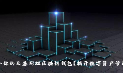 如何选择适合你的巴基斯坦区块链钱包?揭开数字资产管理的神秘面纱