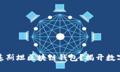 如何选择适合你的巴基斯坦区块链钱包?揭开数字资产管理的神秘面纱