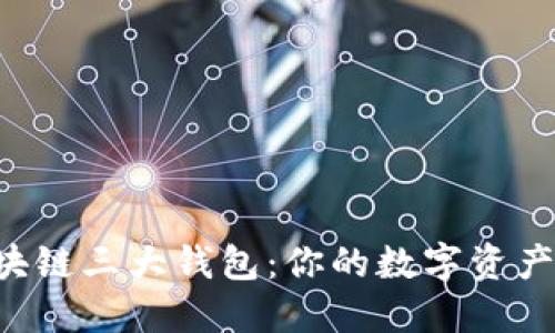 解密区块链三大钱包:你的数字资产守护者!