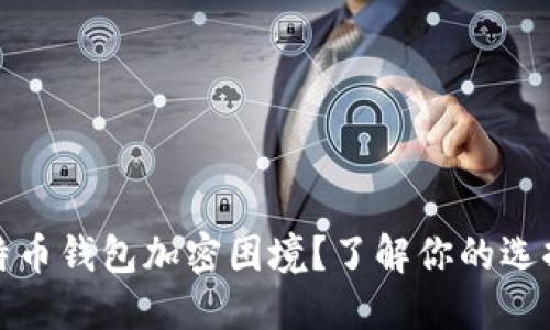 如何应对来特币钱包加密困境?了解你的选择与解决方案