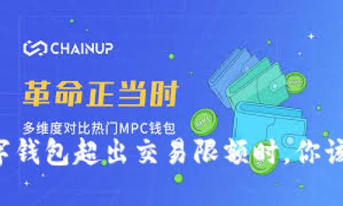 当你的数字钱包超出交易限额时,你该如何应对?