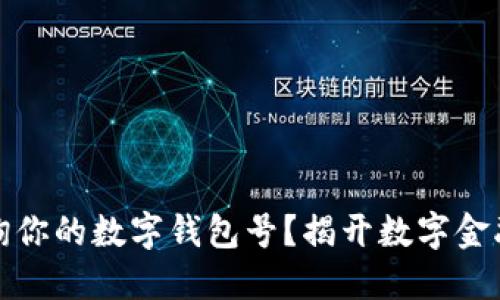 如何轻松查询你的数字钱包号?揭开数字金融的神秘面纱