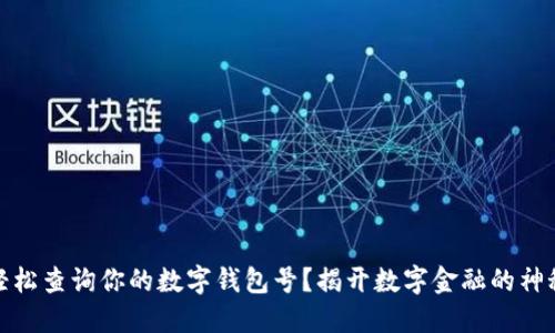 如何轻松查询你的数字钱包号?揭开数字金融的神秘面纱