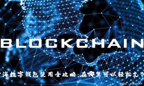 宁海数字钱包使用全攻略:在哪里可以轻松支付?