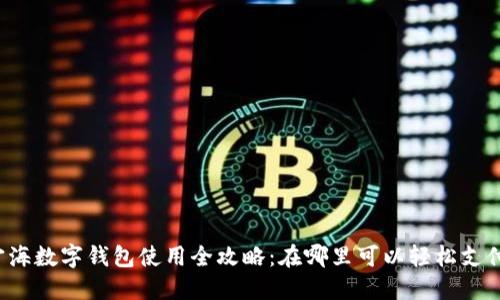 宁海数字钱包使用全攻略:在哪里可以轻松支付?