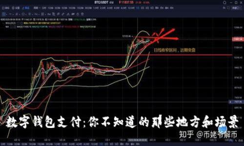 数字钱包支付:你不知道的那些地方和场景