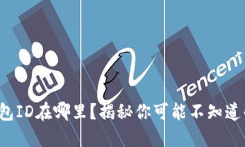 数字钱包ID在哪里?揭秘你可能不知道的秘密!