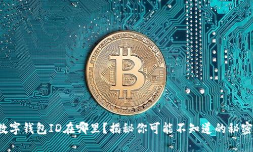 数字钱包ID在哪里?揭秘你可能不知道的秘密!