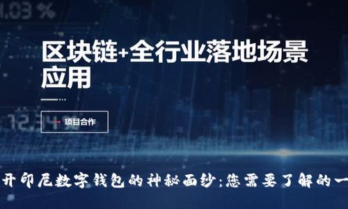 揭开印尼数字钱包的神秘面纱:您需要了解的一切