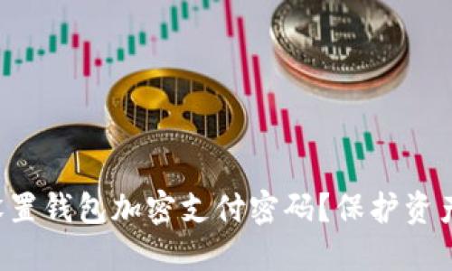 如何高效设置钱包加密支付密码?保护资产的第一步!