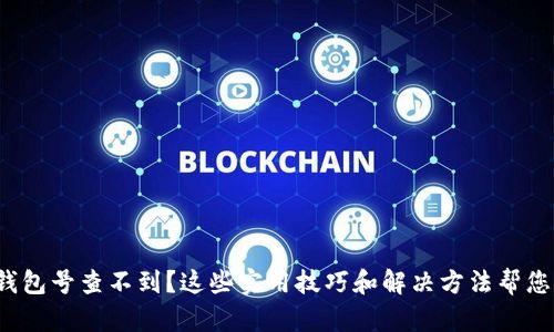 数字货币钱包号查不到?这些实用技巧和解决方法帮您找回信心!