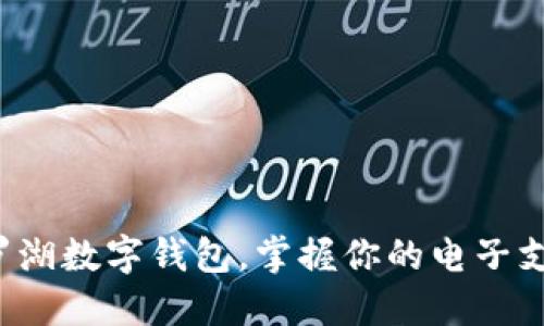 轻松驾驭罗湖数字钱包,掌握你的电子支付新方式!