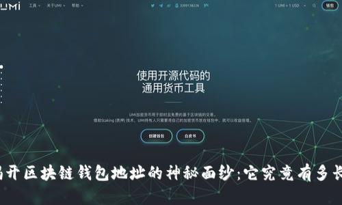 揭开区块链钱包地址的神秘面纱:它究竟有多长?