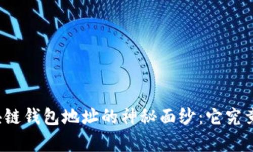 揭开区块链钱包地址的神秘面纱:它究竟有多长?