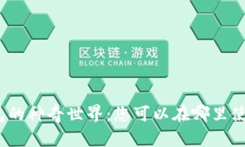 数字钱包的神奇世界:您可以在哪里使用它们?