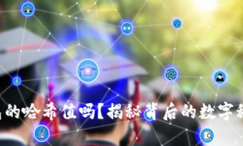 你真的了解TP钱包的哈希值吗？揭秘背后的数字秘密让你大开眼界！