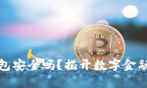 农业银行数字钱包安全吗?揭开数字金融背后的神秘面纱