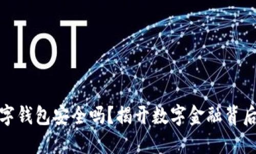 农业银行数字钱包安全吗?揭开数字金融背后的神秘面纱