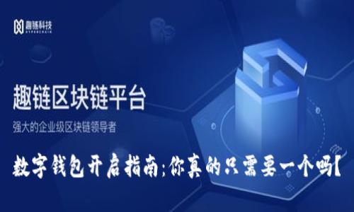 数字钱包开启指南:你真的只需要一个吗?