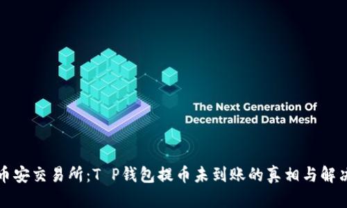 解密币安交易所:T P钱包提币未到账的真相与解决方案