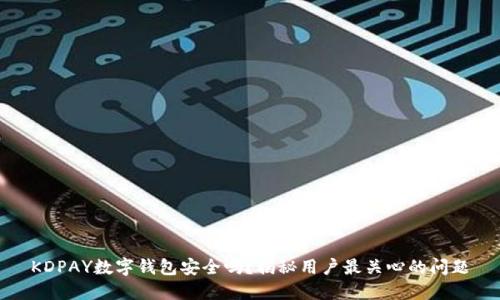 KDPAY数字钱包安全吗?揭秘用户最关心的问题