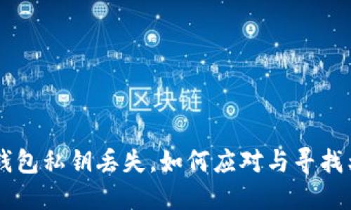 当你的TP钱包私钥丢失，如何应对与寻找希望的引导