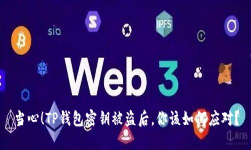 当心!TP钱包密钥被盗后,你该如何应对?