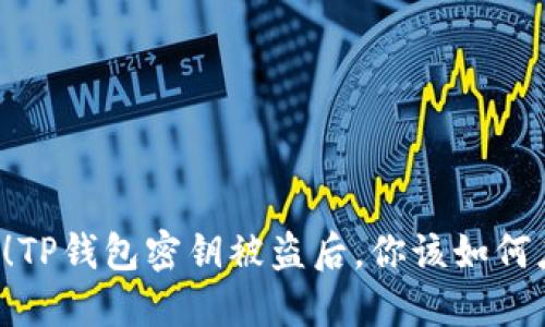 当心!TP钱包密钥被盗后,你该如何应对?
