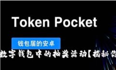如何轻松查看数字钱包中的抽奖活动？揭秘你不