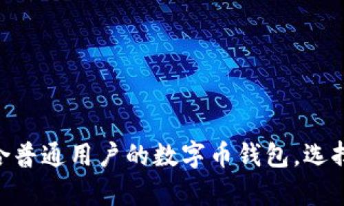揭秘：2023年最适合普通用户的数字币钱包，选择时不可不知的奥秘