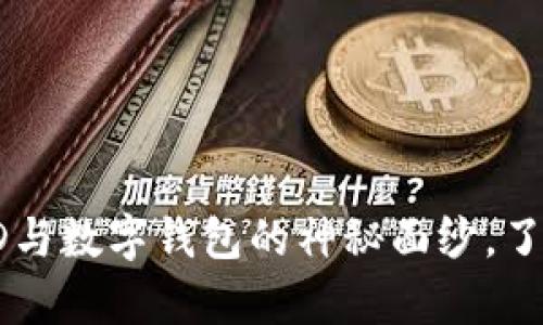 揭开区块链交易ID与数字钱包的神秘面纱，了解它们的真实关系