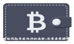 揭开区块链钱包开发的神秘面纱：你需要掌握哪