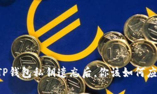 当TP钱包私钥遗忘后，你该如何应对？