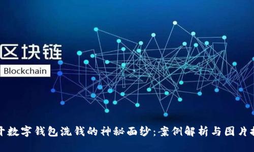 揭开数字钱包洗钱的神秘面纱:案例解析与图片探索