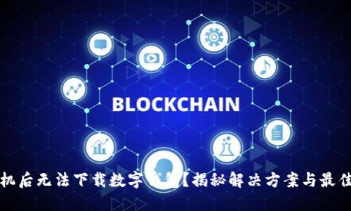 换手机后无法下载数字钱包?揭秘解决方案与最佳实践